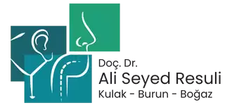 Kulak - Burun - Boğaz