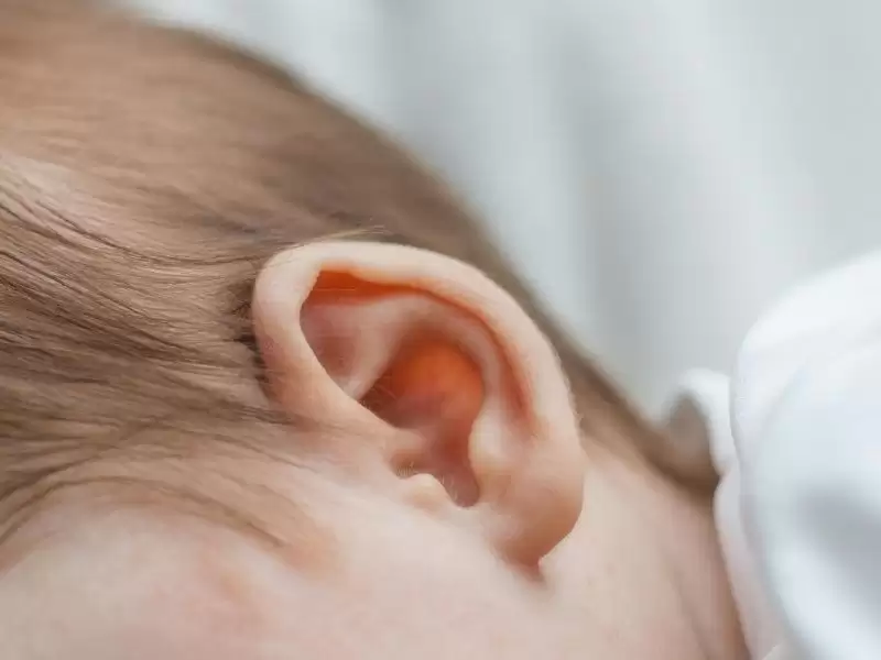 kepce-kulak-neden-olusur