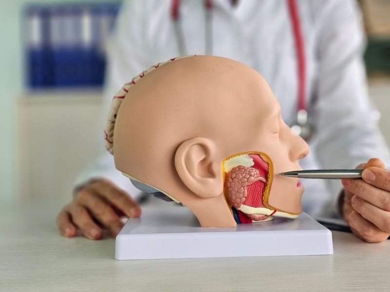 tonsil-ve-adenoidektomi-ameliyat-sureci-ve-sonrasi