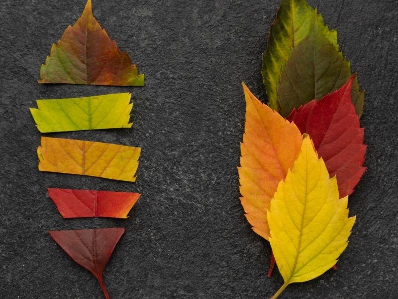 rinoplasti-mevsime-bagli-bir-ameliyat-midir