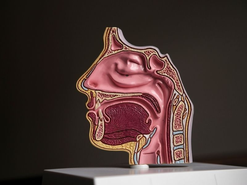 sinuzit-ameliyati-nedir